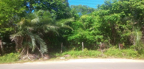 Foto imóvel